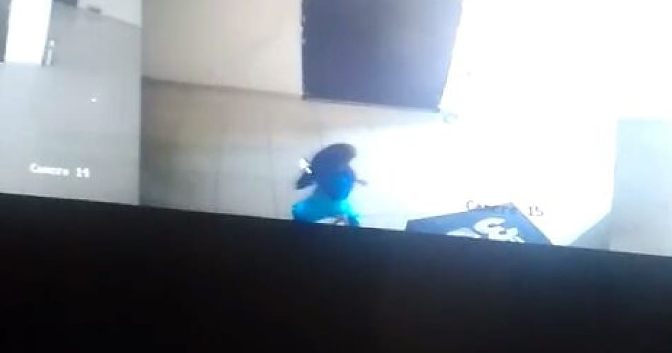 lady suicide, mently disturbed lady suicide, cctv footage, inox mall, panchkula