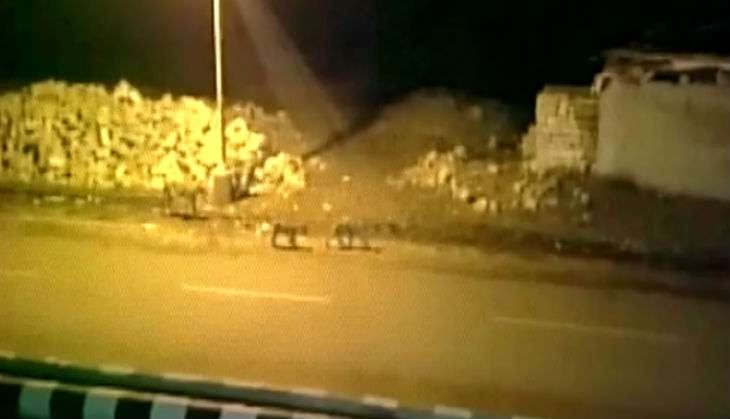8 gir lion roam freely in gujarat town junagadh