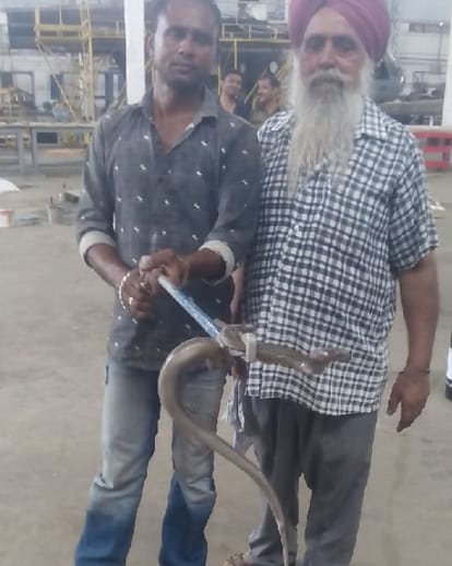 monitoz lizard and two cobra caught on chandigarh airforce sub station