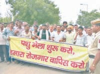 protest,animal, fare, fatehabad, harayana