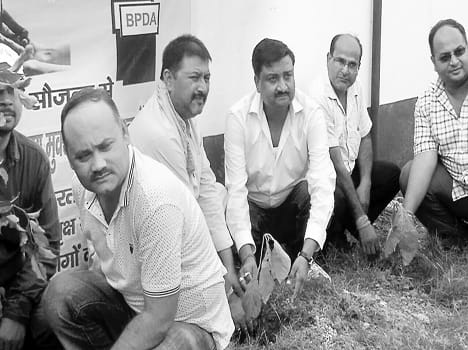 Petrol pump Association planted saplings