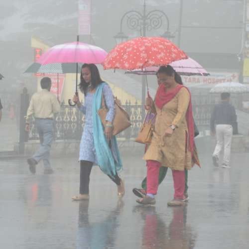 rain in shimla himachal pradesh