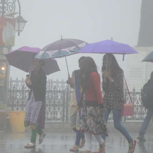 rain in shimla himachal pradesh