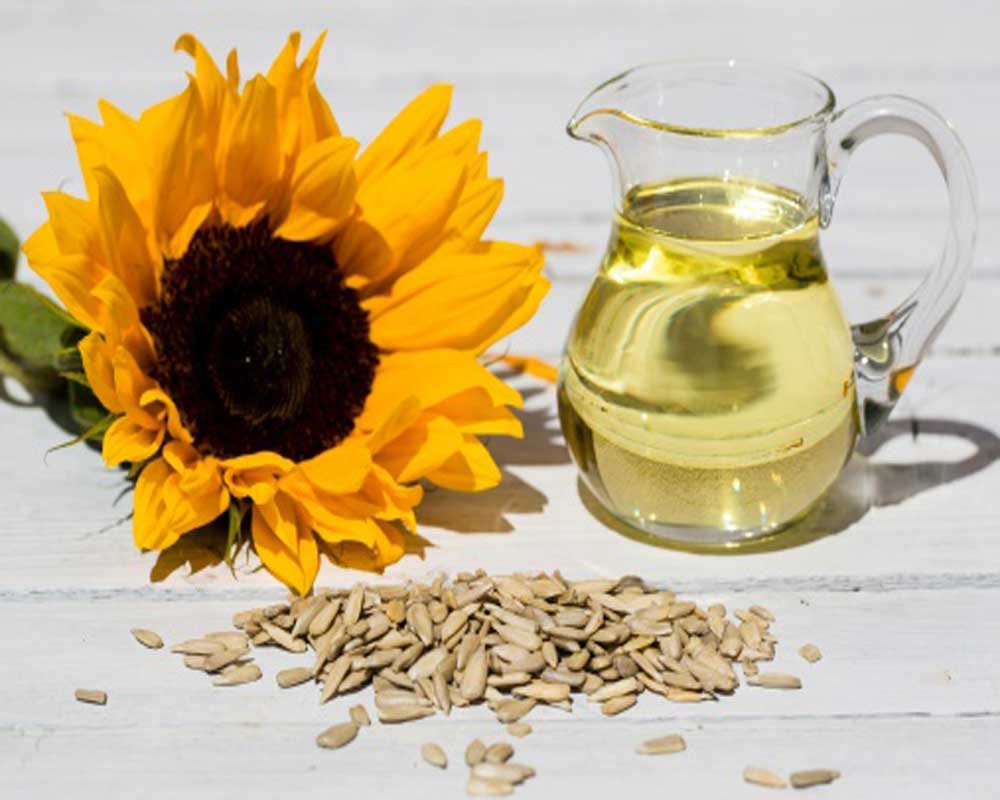 scam found in Government seed purchase department
