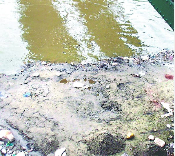 Seized 265 illegal sand bag