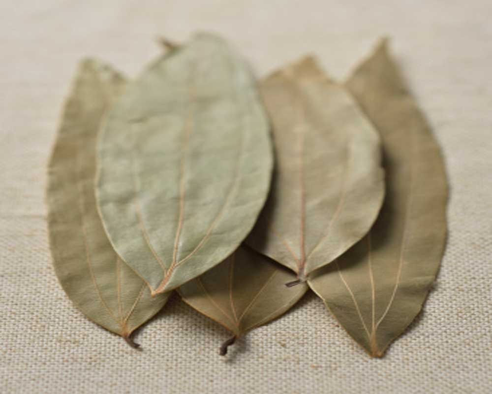 नींबू के छिलके से भागेंगी चीटियां, ये Tips करेंगे मदद To Get Rid Of