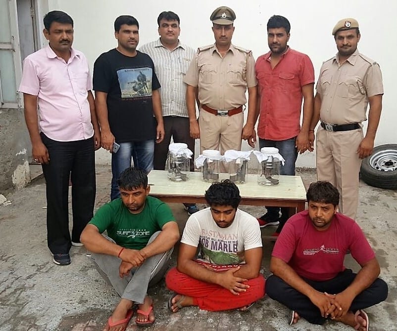 police, crime, arrest, haryana, rohtakt