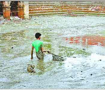 Hundreds of fish killed in the Nageshwar Nath pond