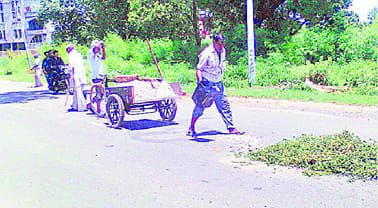 Cutting of bushes, began landfills