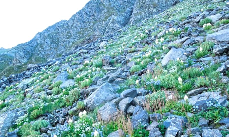 Ramleela 2019: This Village people close ramleela when Hanuman entry And not Do Worship