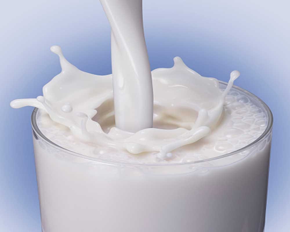 Milk, salt and lemon juice adulterated