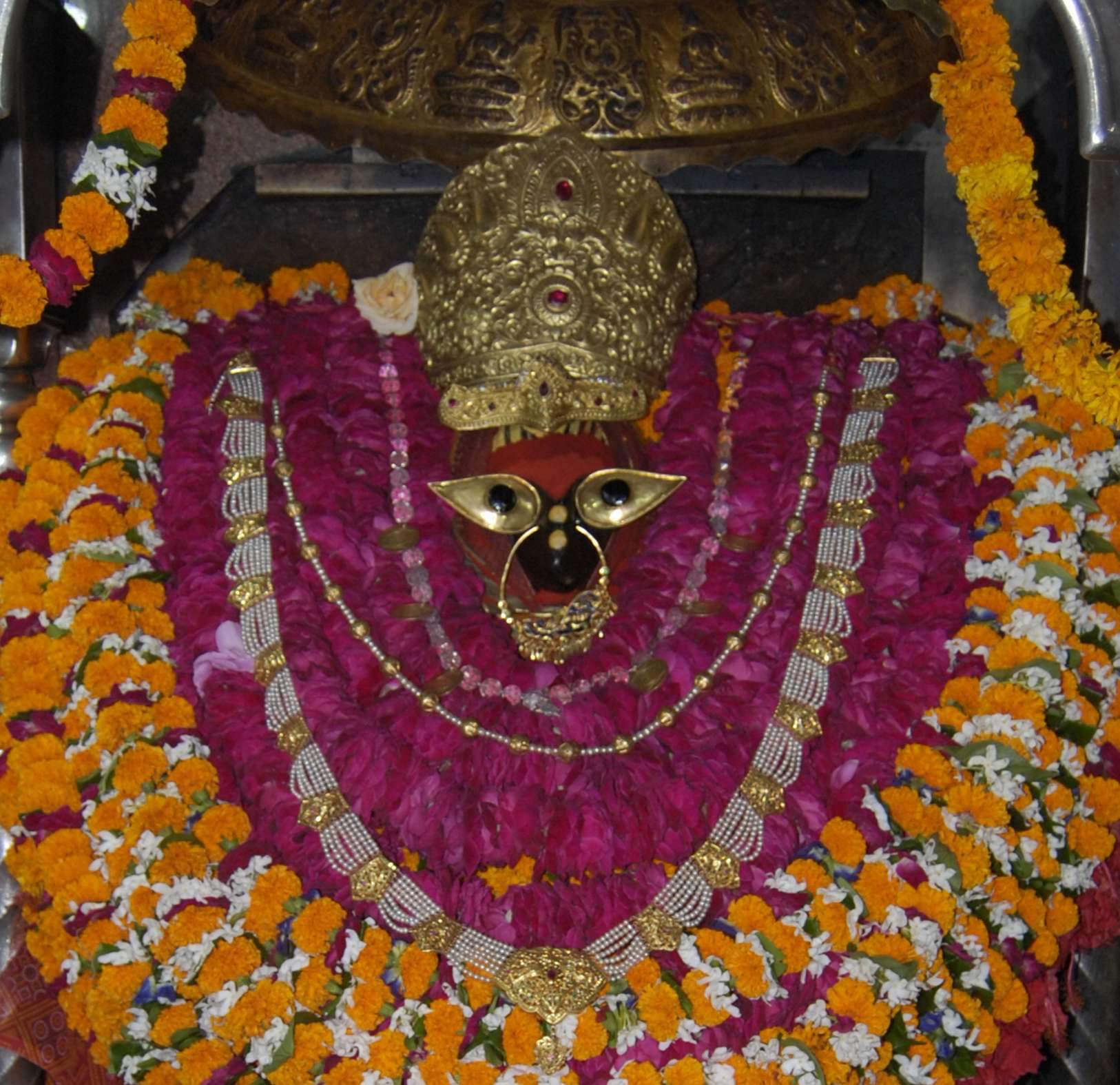 Maa Vindhyavasini temple doors opened afternoon aarti in vindhachal mirzapur