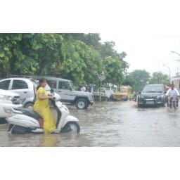 sonipat news, hindi news, rain, water