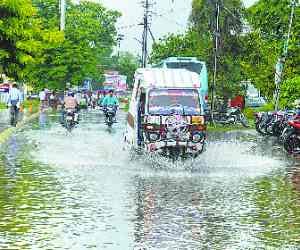 Benefit from the harvest rain