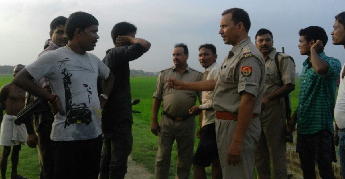 8 animals recovered