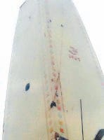 Breach on the dome of the temple by lightning, Kurukshetra