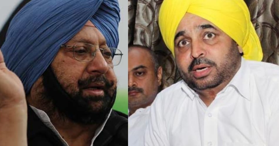 captain amrinder singh, bhagwant mann, punjab aap, punjab congress, punjab politics, punjab