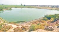 cm, 7 file closed,cmo, file, 13 wating, fatehabad, harayana