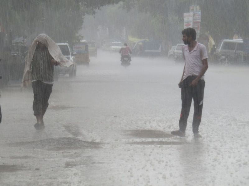 Heavy rain hit the hopes of farmers feather