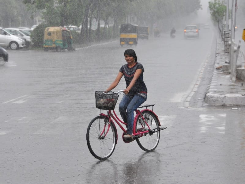 rain, 25 mm rain in ludhiana, ludhiana rain