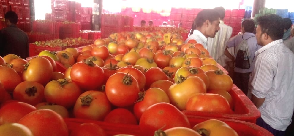 tomato rate increase in uttarakhand 