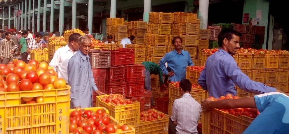 tomato sold 100 rupees per kilogram in market
