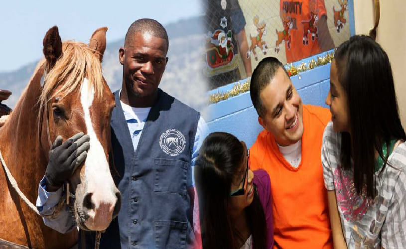 Most Comfortable Prisons in the World