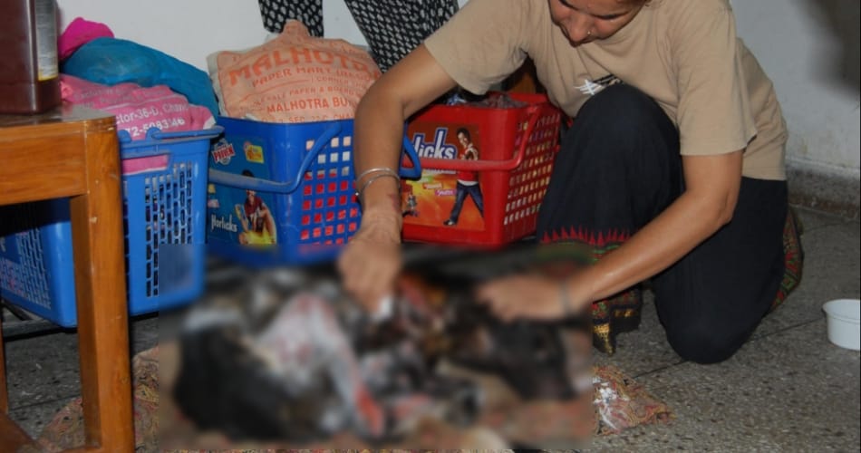 acid attack, acid attack on dog in mohali, acid attack in mohali village, crime, mohali