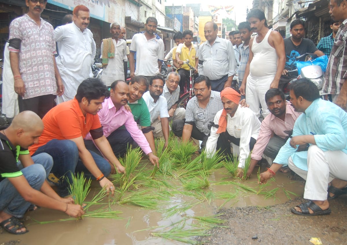  Paddy sown outdoors