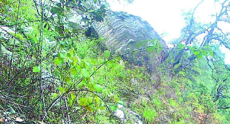 Now Cnria tandem threat to Tok