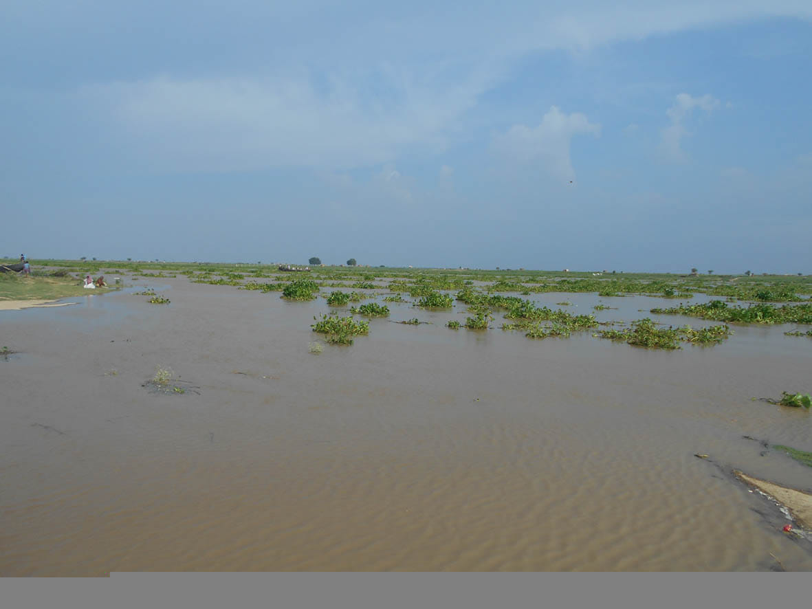 Ganga touches danger point