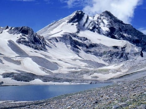 people crazy for Himalayan energy boosting fungus kirajari.