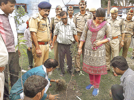 Problems immediately dispose of the public-DM