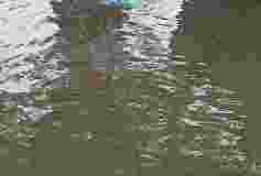 50 gao me handpump