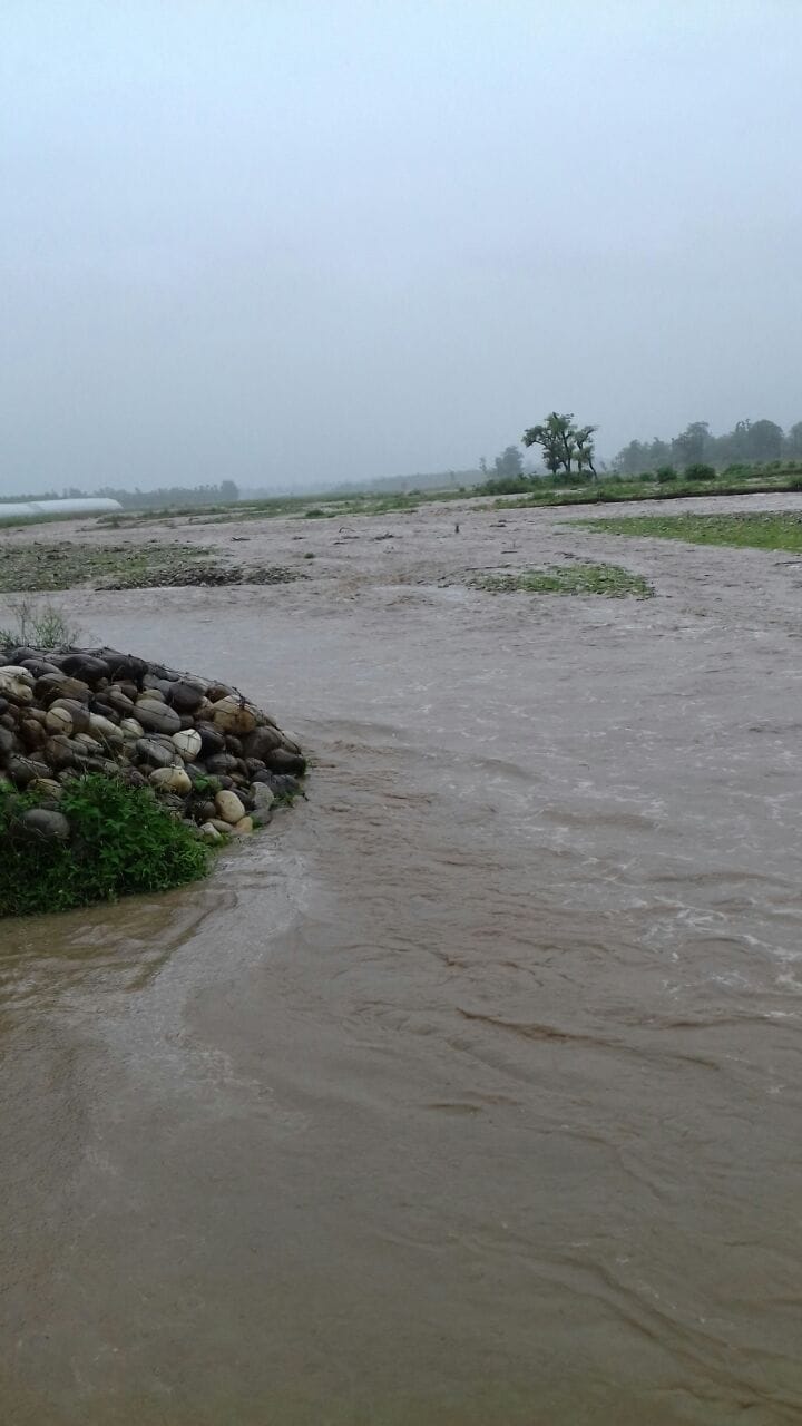 rainfall day decreased in haldwani
