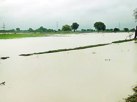 Farm barn filled with rain, pond Ufnaa