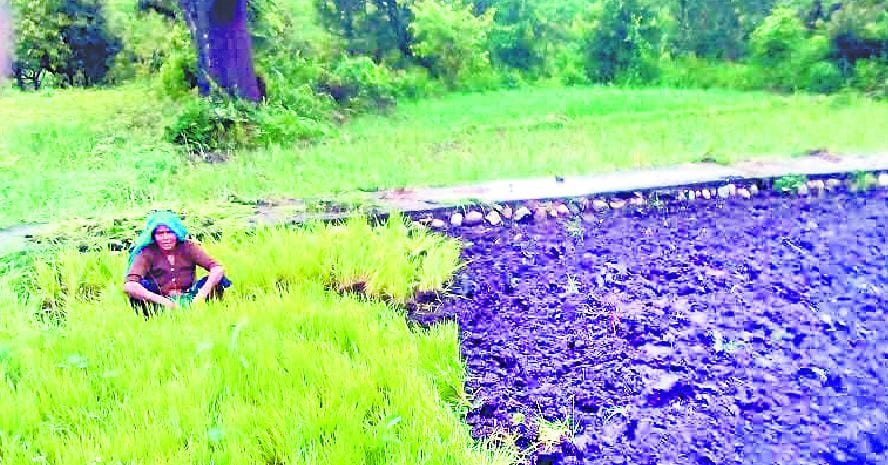 Kosi Ufnai , stalled water pumps , water supply interrupted