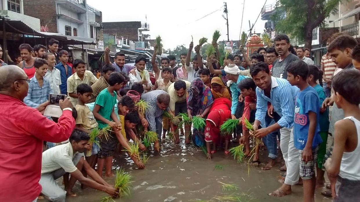 People planted on the road
