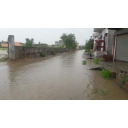 sonipat news, hindi news, rain, logging