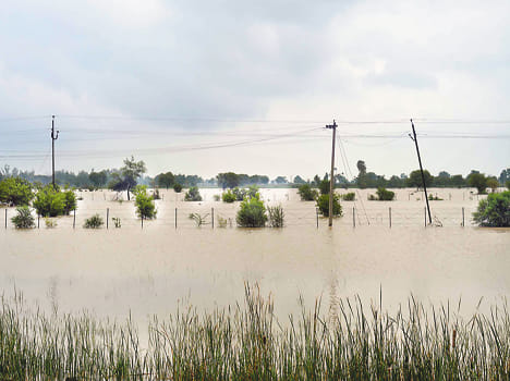 16-16 mm of water in Chitrakoot and Hamirpur