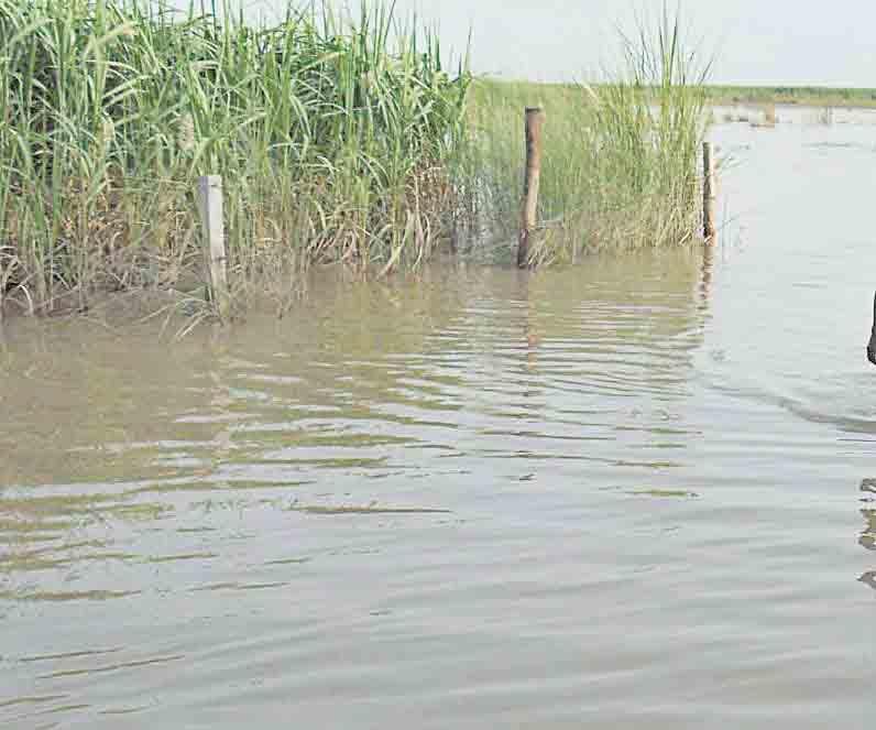 36 villages of Ganjr entered the water