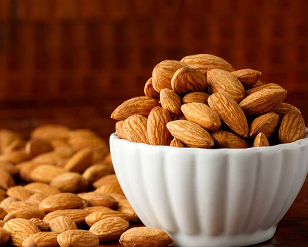 Terror link to Almond kernel trade: NIA probes