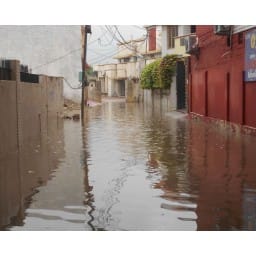 bhiwani news, heavy rain, flooded, city