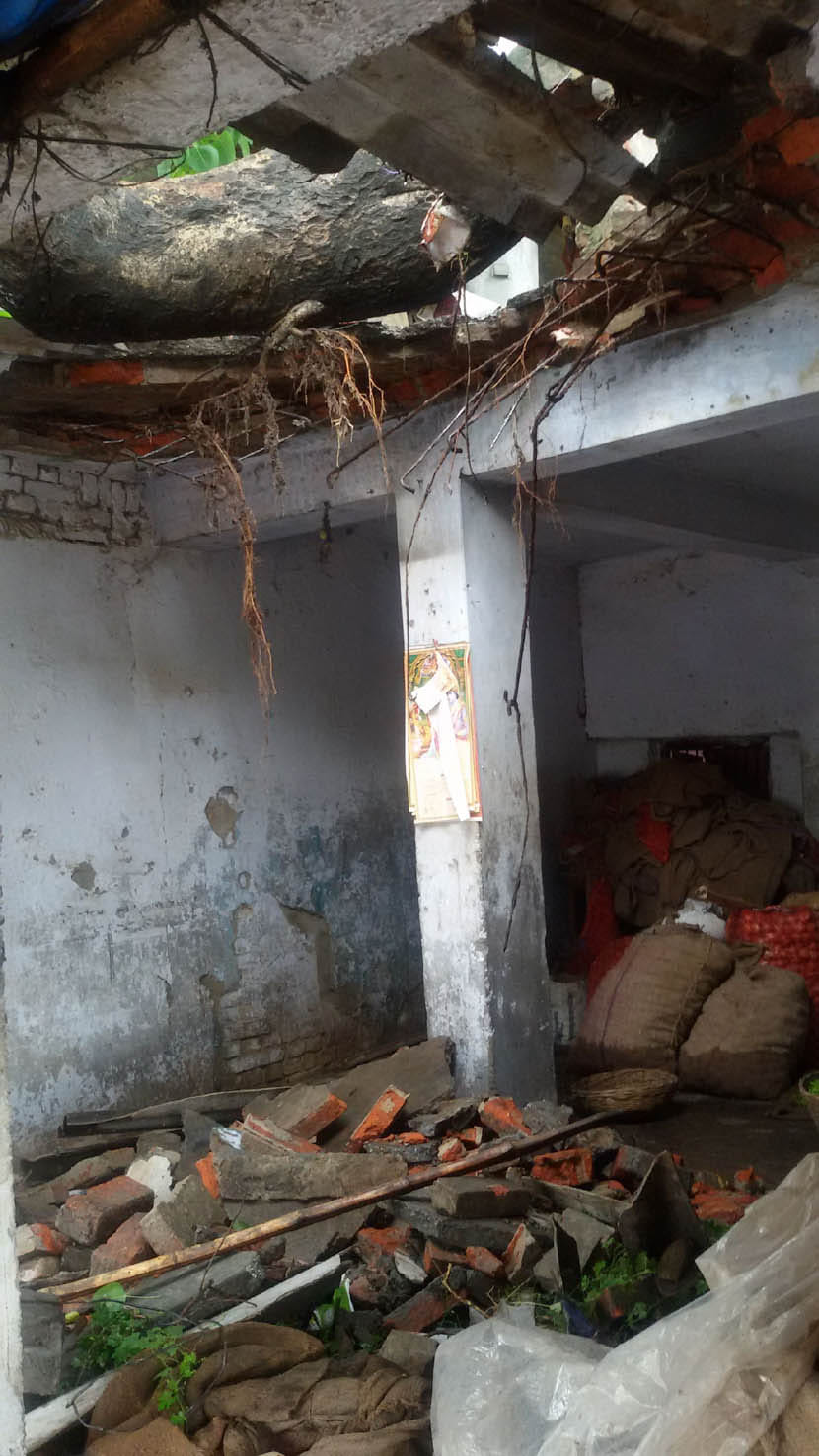 due to tree falling two injured 