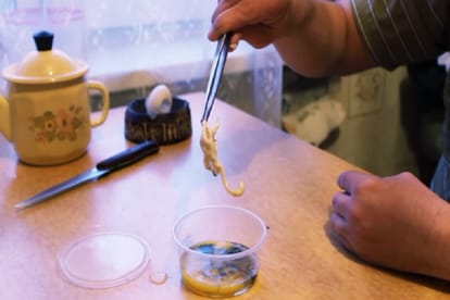 man injects his own semen into an egg