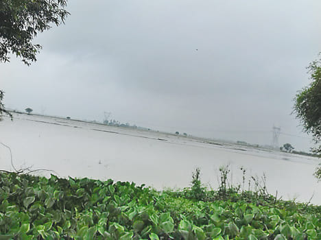 Then boom in the Yamuna, Ganga reduced