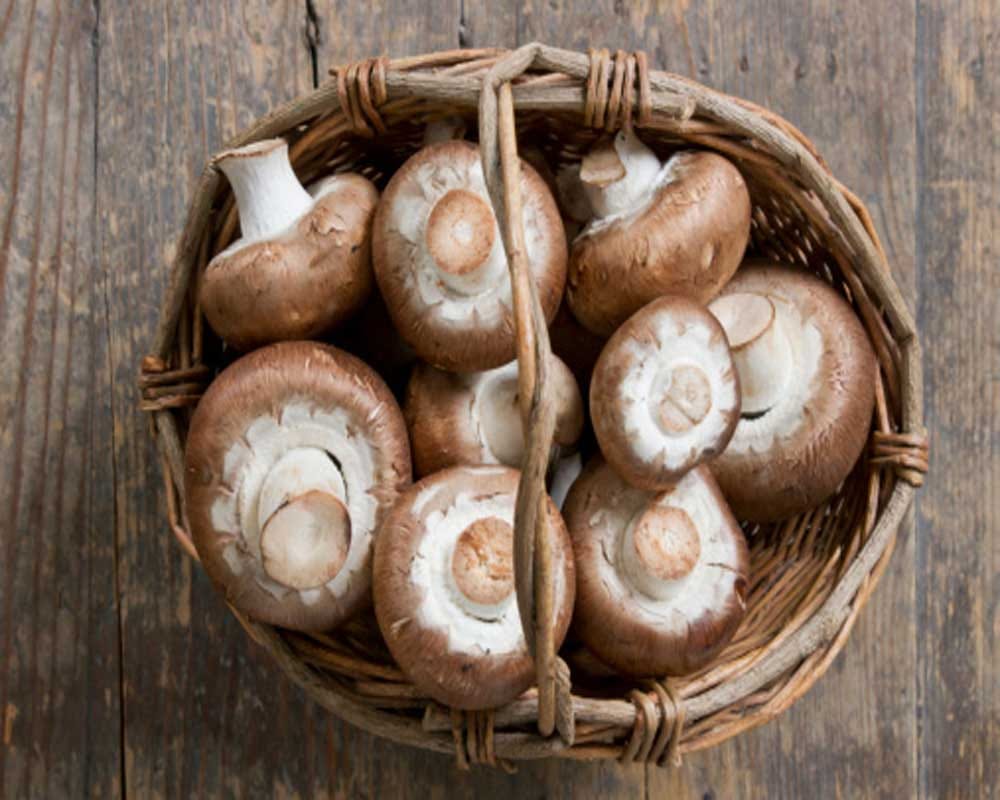 vegetables that have much protein for good health