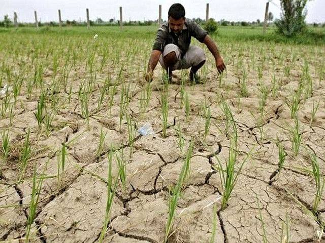 West UP's soil is getting worse