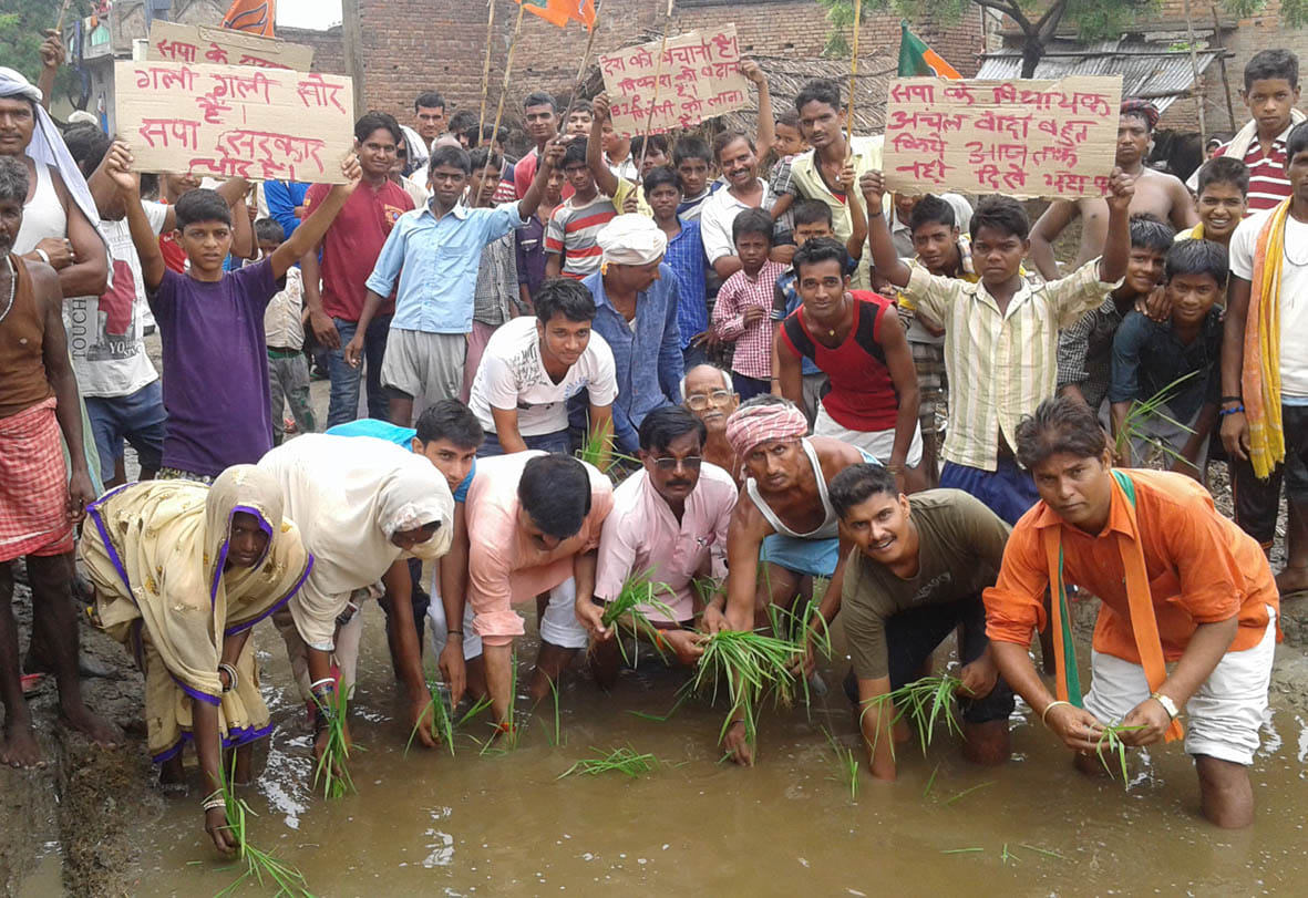 Rice expressed rope shabby street protest
