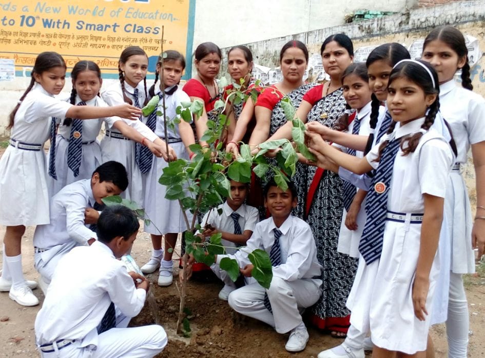 Students took to planting resolution